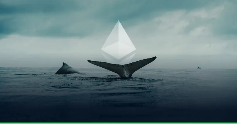 วาฬ Ethereum เก็บสะสม ETH มูลค่า 1.3 พันล้านดอลลาร์ หนุนความคาดหวังการกลับตัวสู่ 4,000 ดอลลาร์