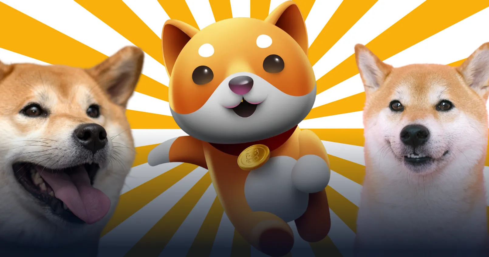 จับตาเหรียญมีม Baby Doge มาแรง!