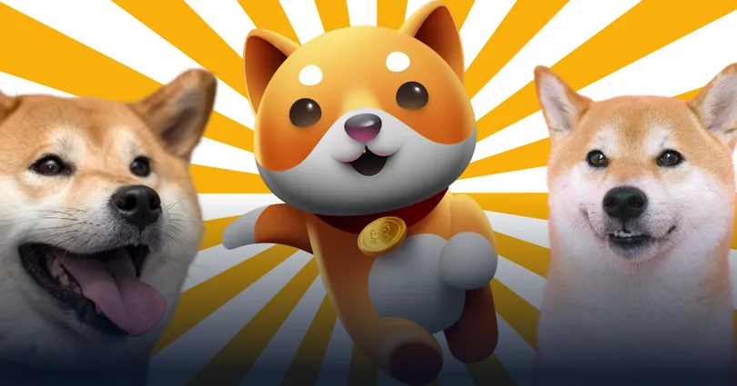 จับตาเหรียญมีม Baby Doge มาแรง!