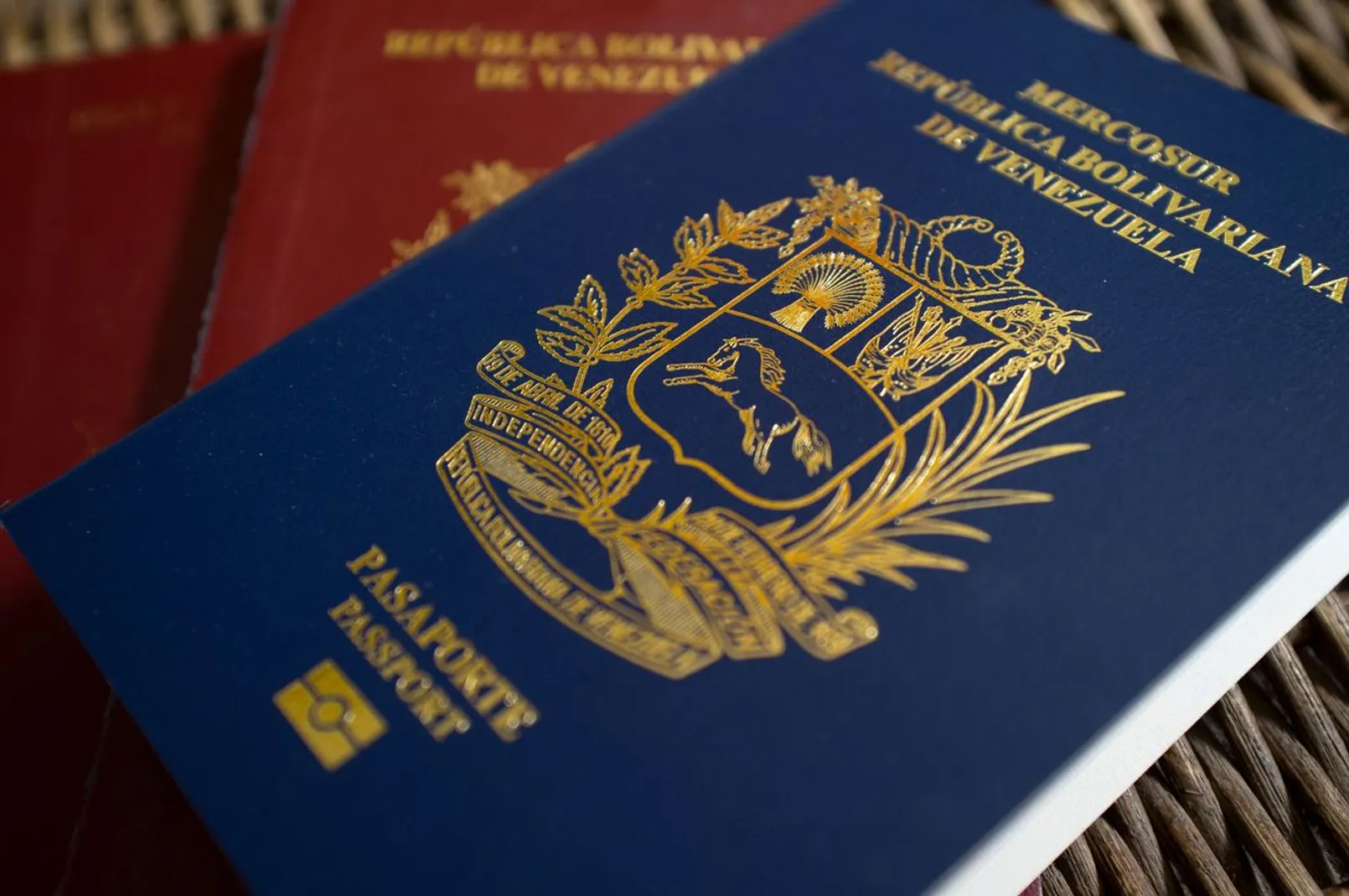 Venezuela Passport.jpg