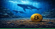 วาฬ Bitcoin กลับมาเก็บเหรียญบริเวณ $71,000 Santiment ชี้เป็นสัญญาณบวกของตลาด