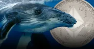พบ วาฬ Ethereum ดึกดำบรรพ์ หลายตัวเริ่มเคลื่อนไหว เป็นครั้งแรกในรอบ 8 ปี