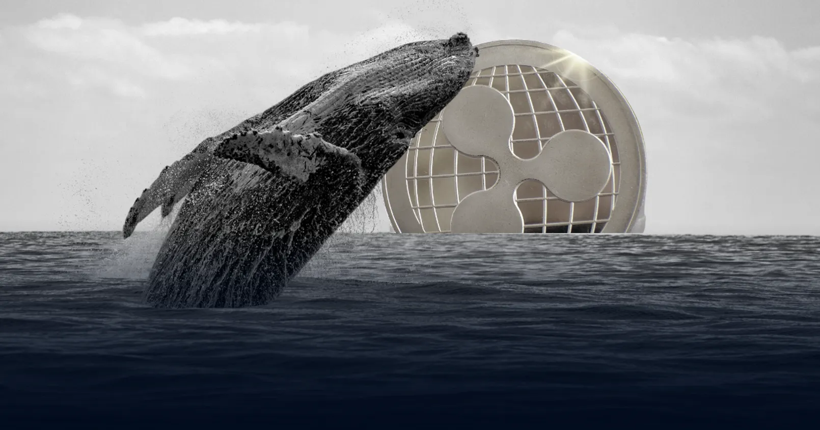 กวิเคราะ์พบจำนวนวาฬ XRP เพิ่มขึ้นถึง 50 คนภายในหนึ่งเดือน