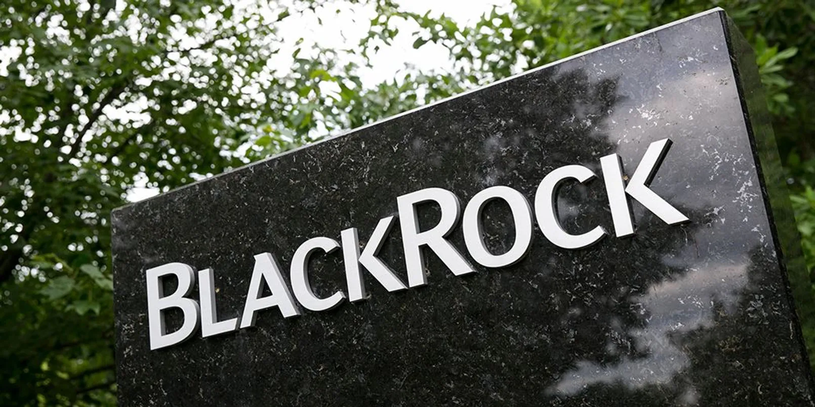 Black Rock.jpg