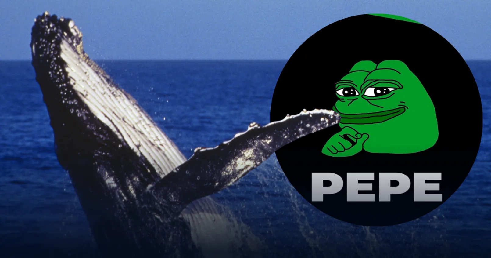 Lookonchain พบ วาฬ Ethereum เข้าซื้อเหรียญมีม PEPE ไปเกือบ 3 ล้านดอลล์