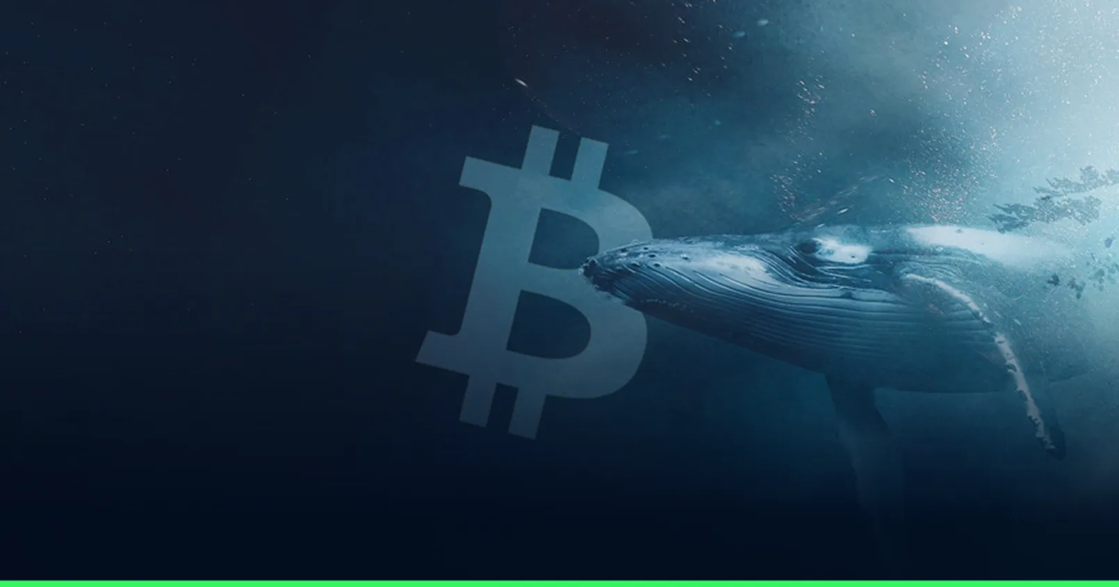 วาฬ Bitcoin ยุคแรก “Owen Gunden” เทขาย Bitcoin มูลค่า 1.3 พันล้านดอลลาร์ ขณะที่สถาบันเพิ่มการถือครองผ่าน ETF