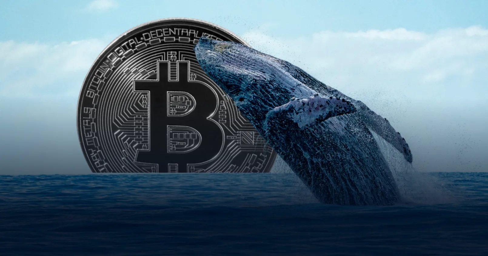 พบวาฬ BTC โยกย้ายเหรียญไปยังที่อยู่ใหม่