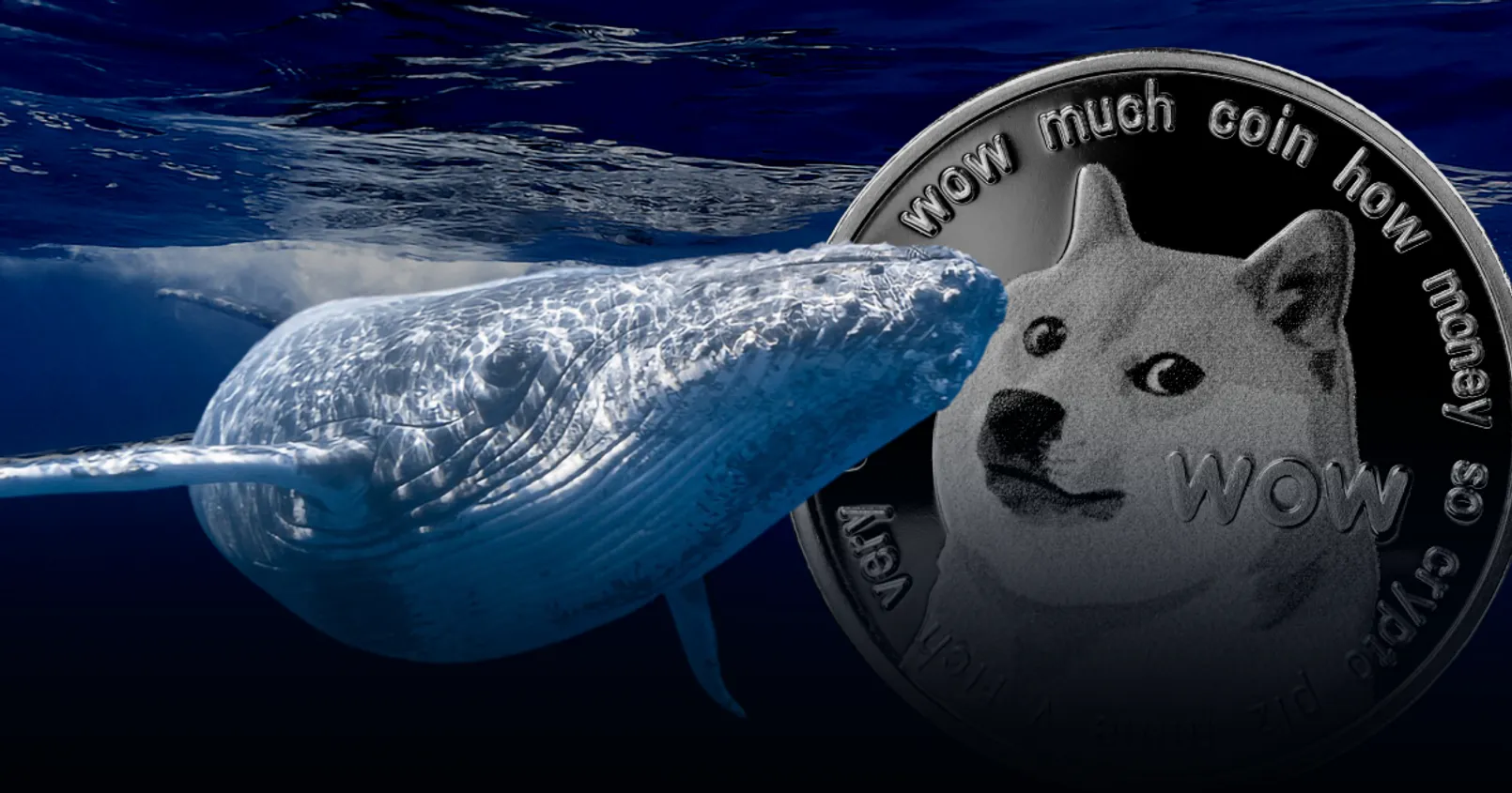 พบ 'วาฬ' ขนาดยักษ์ โยกย้ายเหรียญ 'Dogecoin' มูลค่ากว่า 335 ล้านดอลล์
