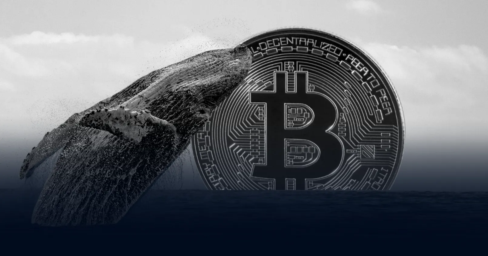 พบ 'วาฬ Bitcoin โบราณ' เคลื่อนไหวครั้งแรกในรอบ 9 ปี