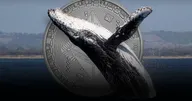 พบที่อยู่ 'วาฬยักษ์' จำนวนมาก เข้าซื้อ Ethereum จำนวนกว่า 2.6 แสน ETH