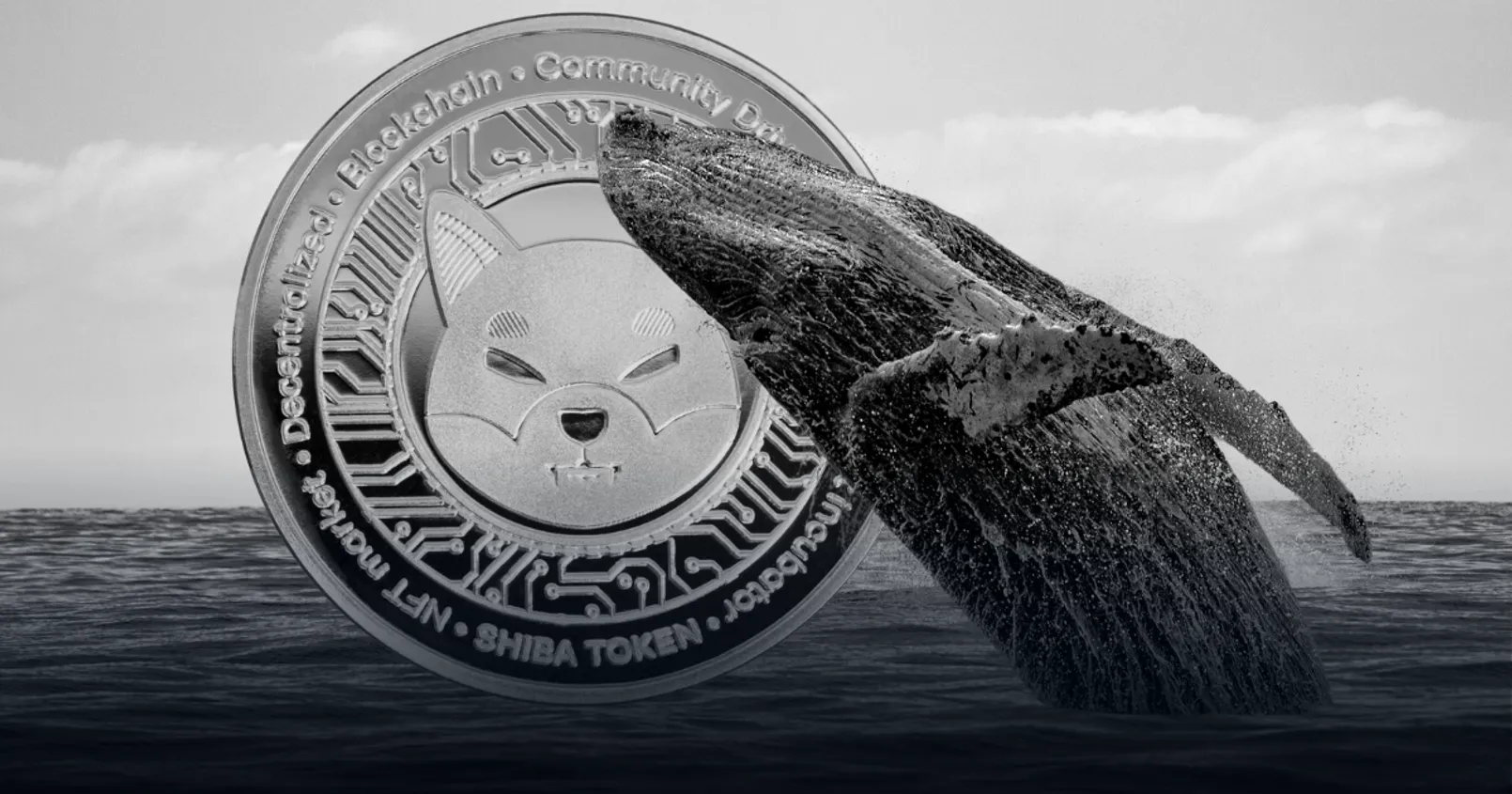 IntoTheBlock รายงาน! พบ Trading Volume ของเหรียญ Shiba Inu เพิ่มขึ้นกว่า 1000% 