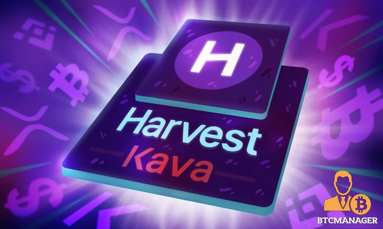 Harvest Kava.jpg