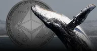 Lookonchain รายงาน! พบ 'วาฬยักษ์' กวาดซื้อ ETH มูลค่ากว่า 154 ล้านดอลลาร์