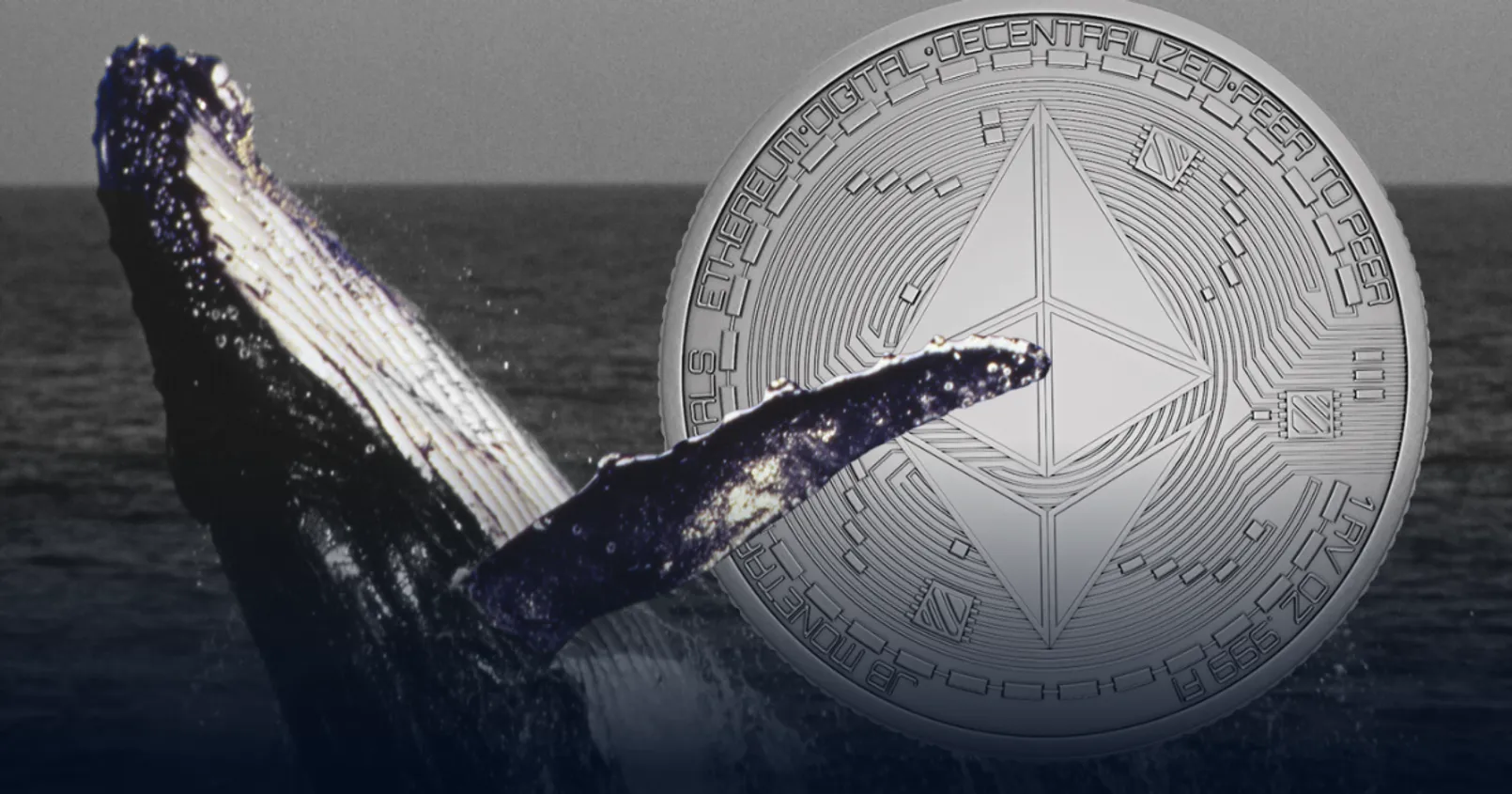 Whale Alert เตือน! พบวาฬ 'Ethereum' โอนเหรียญ 149,999 ETH