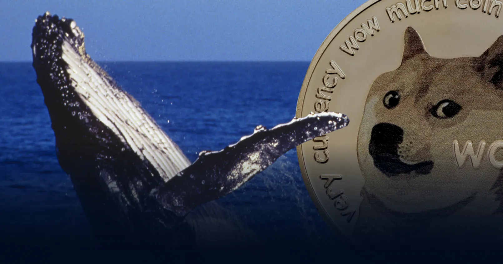  พบ 'วาฬ' Dogecoin โยกเหรียญรวมกันกว่า 16.96 ล้านดอลลาร์