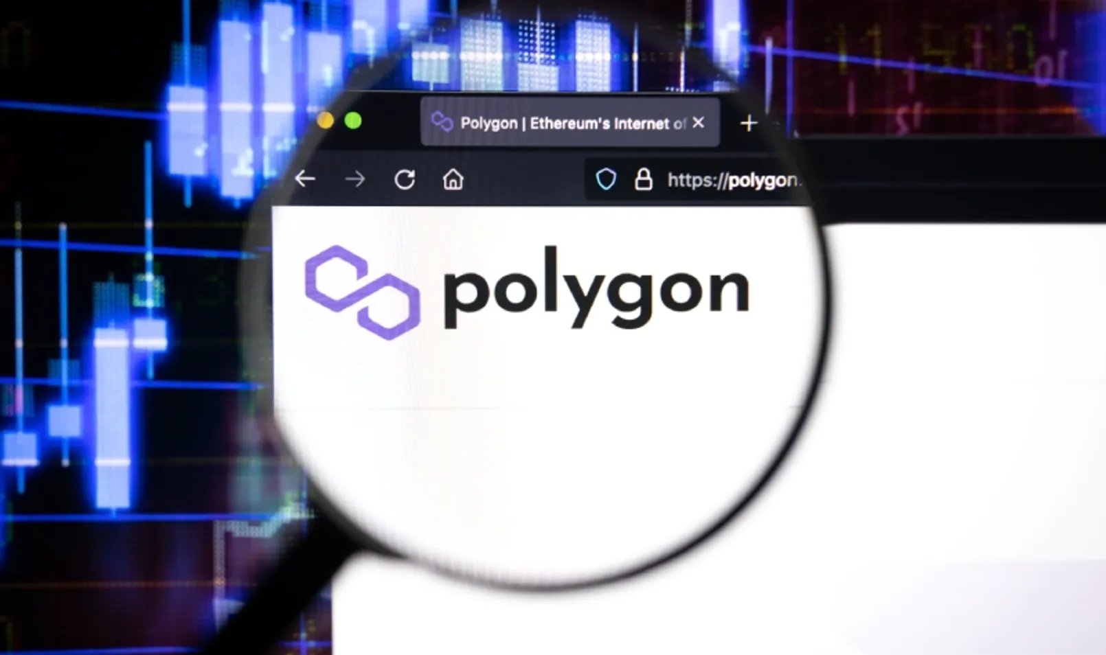 Well Meaning Hacker Saved Polygon From 20 Billion Disaster.jpg
