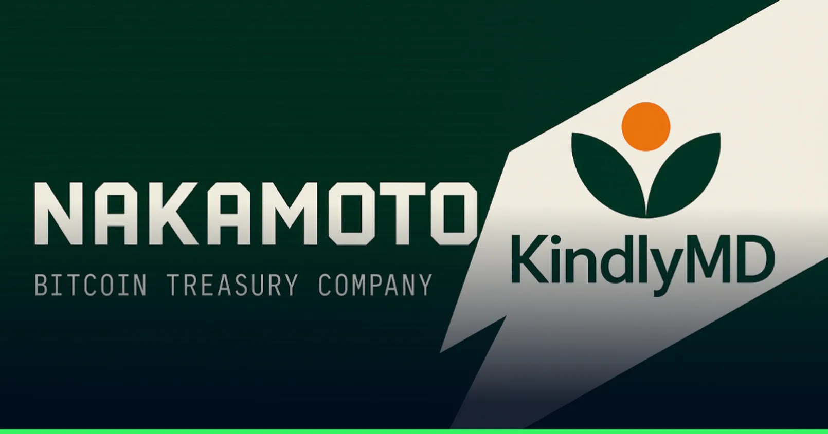 Ham's Rectangle Template 2025 12 17 T051314.364