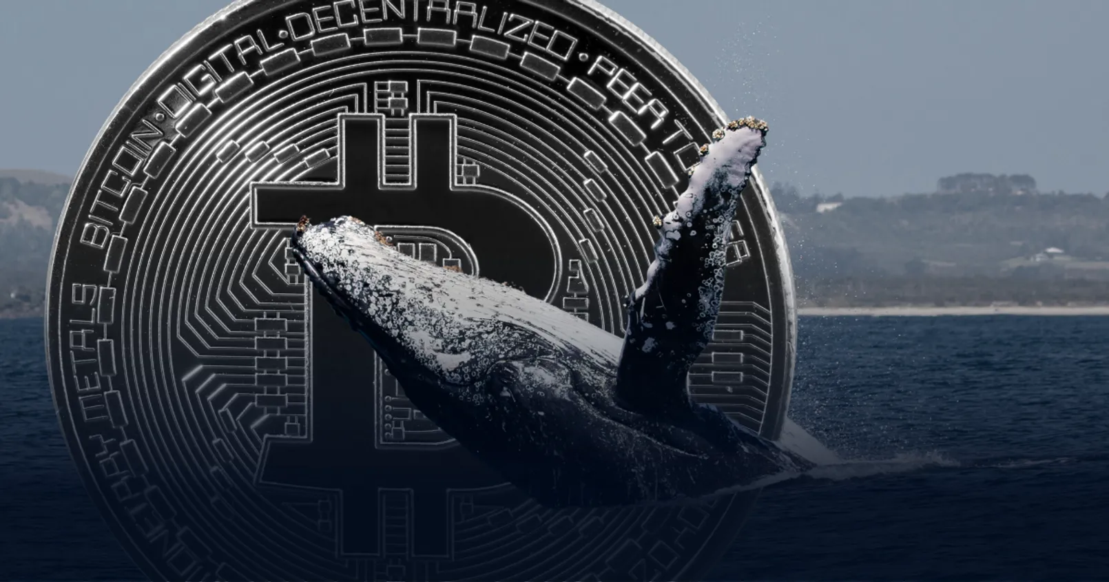 Lookonchain พบวาฬ Bitcoin ตัวเดิม โยก 4,451 BTC มูลค่ากว่า 133.7 ล้านดอลลาร์ เข้า Binance