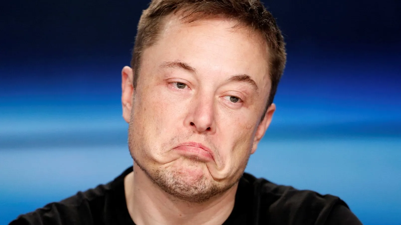Elon Musk 6.jpg