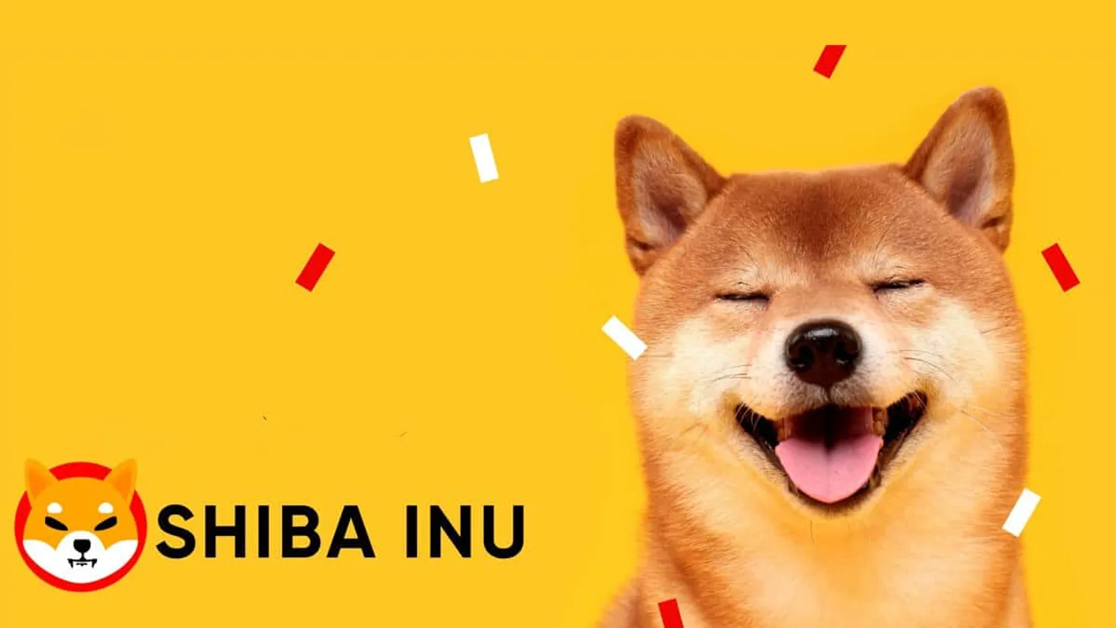 Shiba Inu to Enter Top 10 Crypto Shib Price Surged More Than 50.jpg