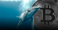 พบวาฬยักษ์ เข้าซื้อ Bitcoin เกือบ 3 พันล้านดอลลาร์ ภายใน 24 ชั่วโมง!
