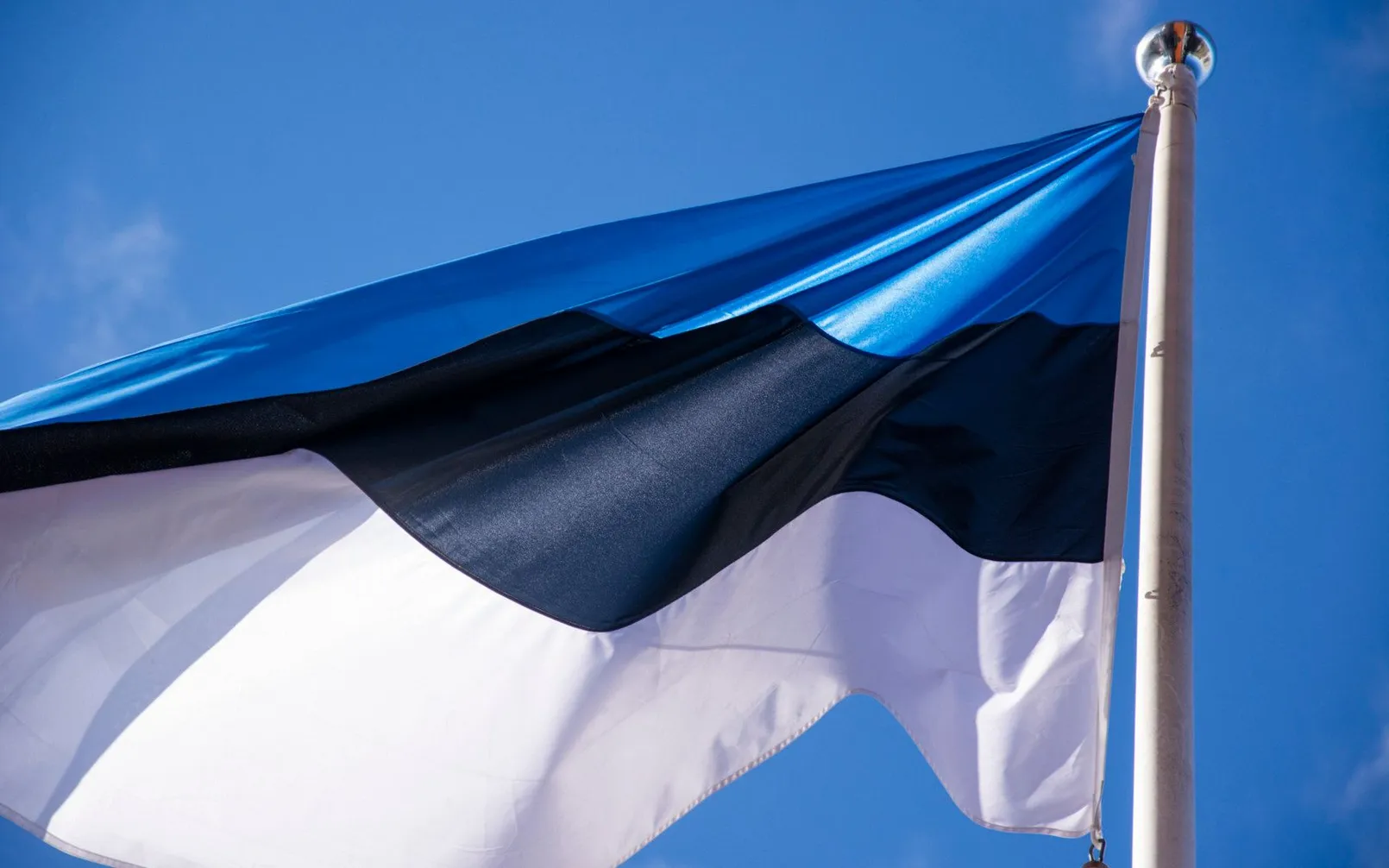 Estonia Flag.jpg