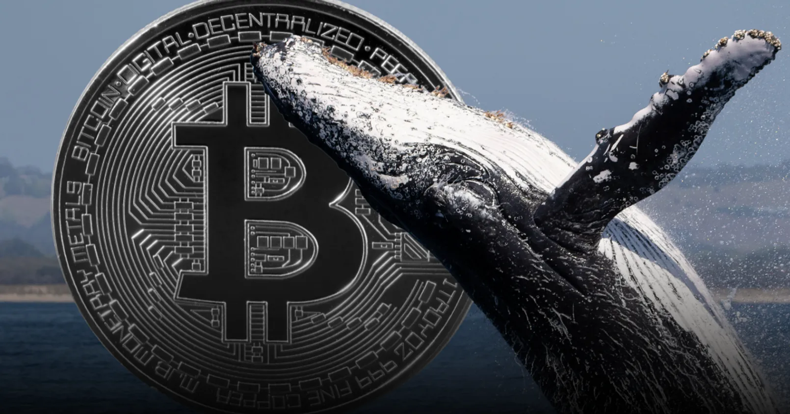 Whale Alert รายงาน! พบ 'วาฬ Bitcoin' จำนวนมาก โยกเหรียญรวมกันกว่า 4.5 พันล้านดอลล์