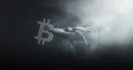 IntoTheBlock รายงาน! พบวาฬเริ่มมีการสะสม Bitcoin น้อยลงจากช่วงเดือนมีนาคม