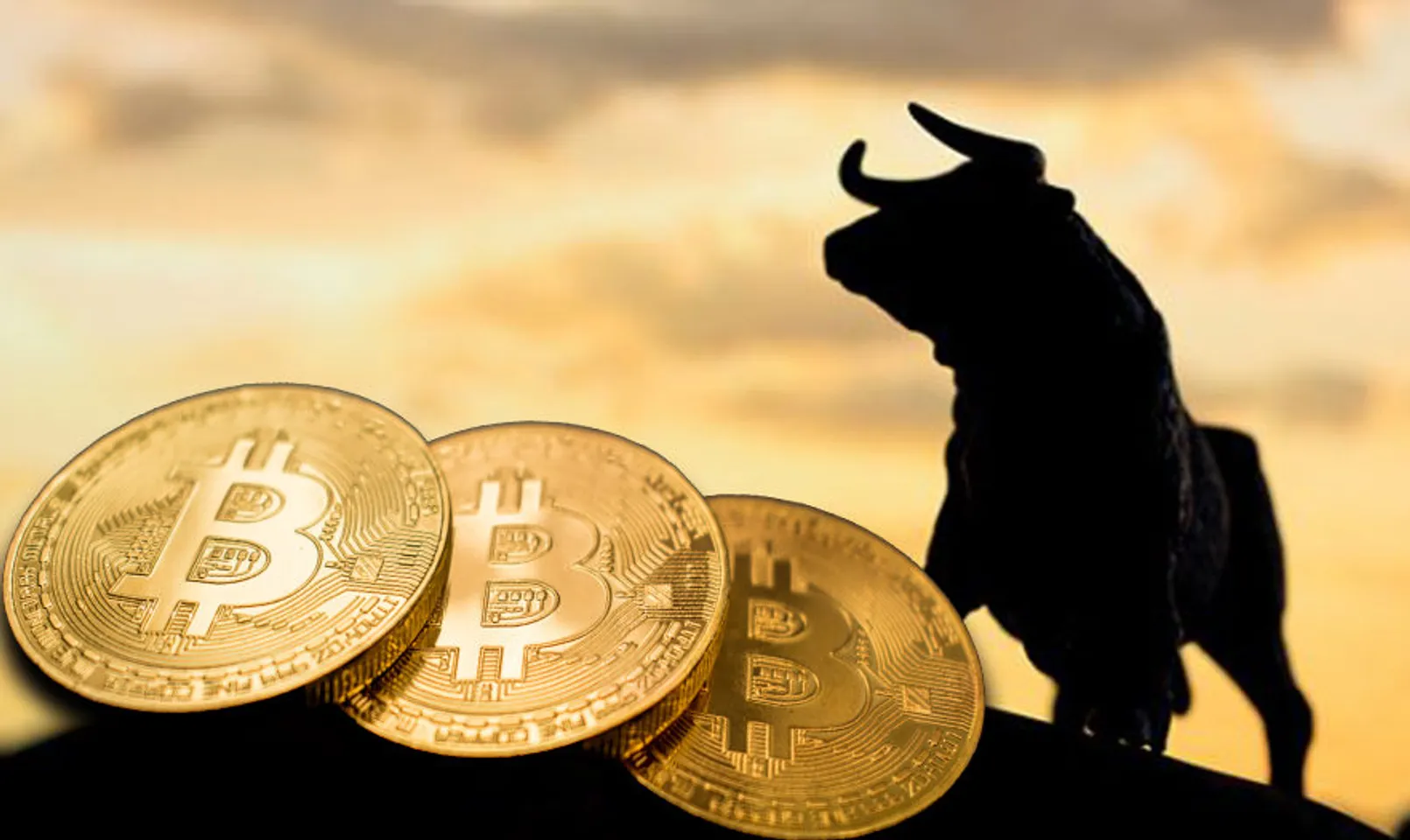Bitcoin Price Crypto Bull Run Insight Due to Fomo and Btc Halving E1564491462688.jpg