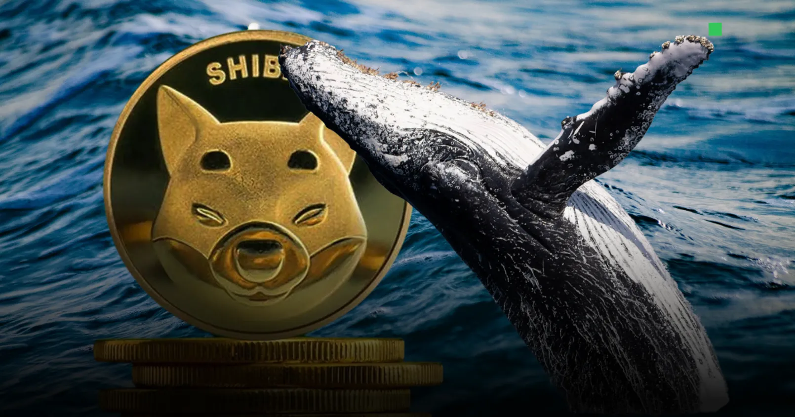 Whale Alert พบ 'วาฬ' เข้าซื้อเหรียญ Shiba Inu มูลค่า 6 ล้านดอลล์