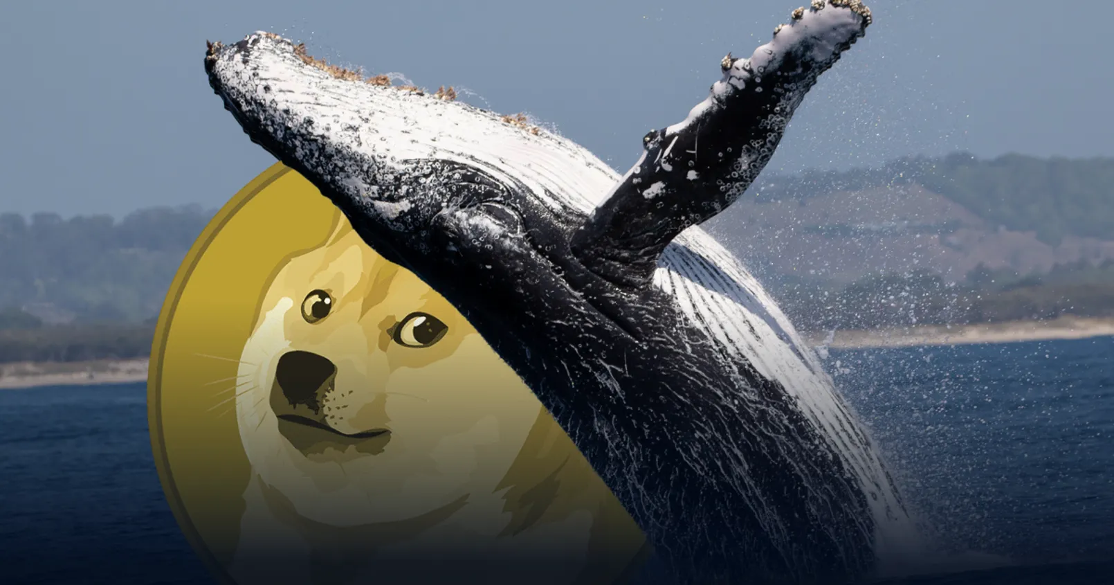 พบ ‘วาฬ DOGE’ ในตำนาน เคลื่อนไหวครั้งแรกในรอบเกือบ 10 ปี! ชาวเน็ตคาด อาจขายไปซื้อ PEPE 