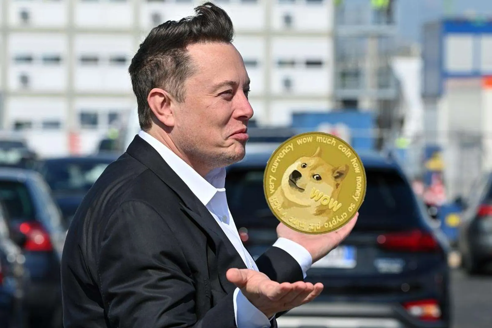 Elon Musk Dogcoin.jpg