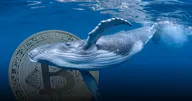พบ 'โคตรวาฬ' เคลื่อนย้าย BTC อีกครั้ง รวมมูลค่าเกือบพันล้านดอลล์ ...แล้วพวกเขามีจุดประสงค์อะไรกันแน่?