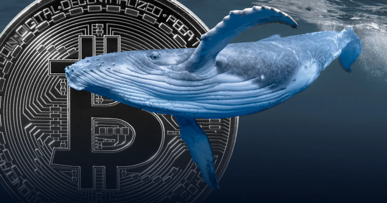เป็นกังวล! นักวิเคราะห์คริปโตของ Santiment พบ 'วาฬ' เทขาย Bitcoin จำนวนมาก