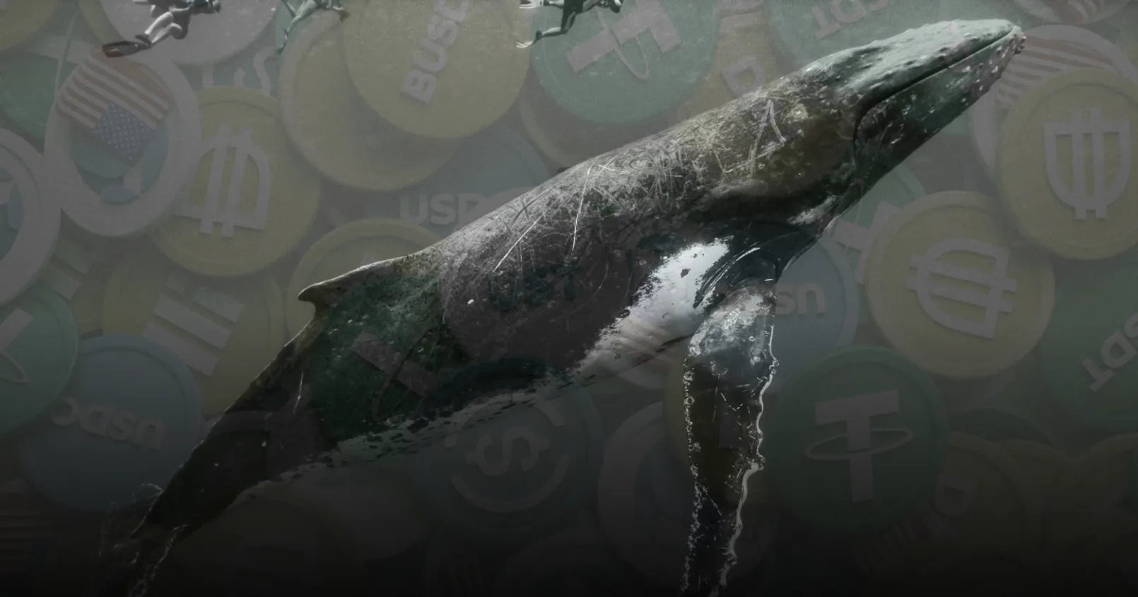 Santiment พบเหล่า 'วาฬยักษ์' หลายตัวแห่ซื้อ Stablecoin เก็บไว้จำนวนมาก