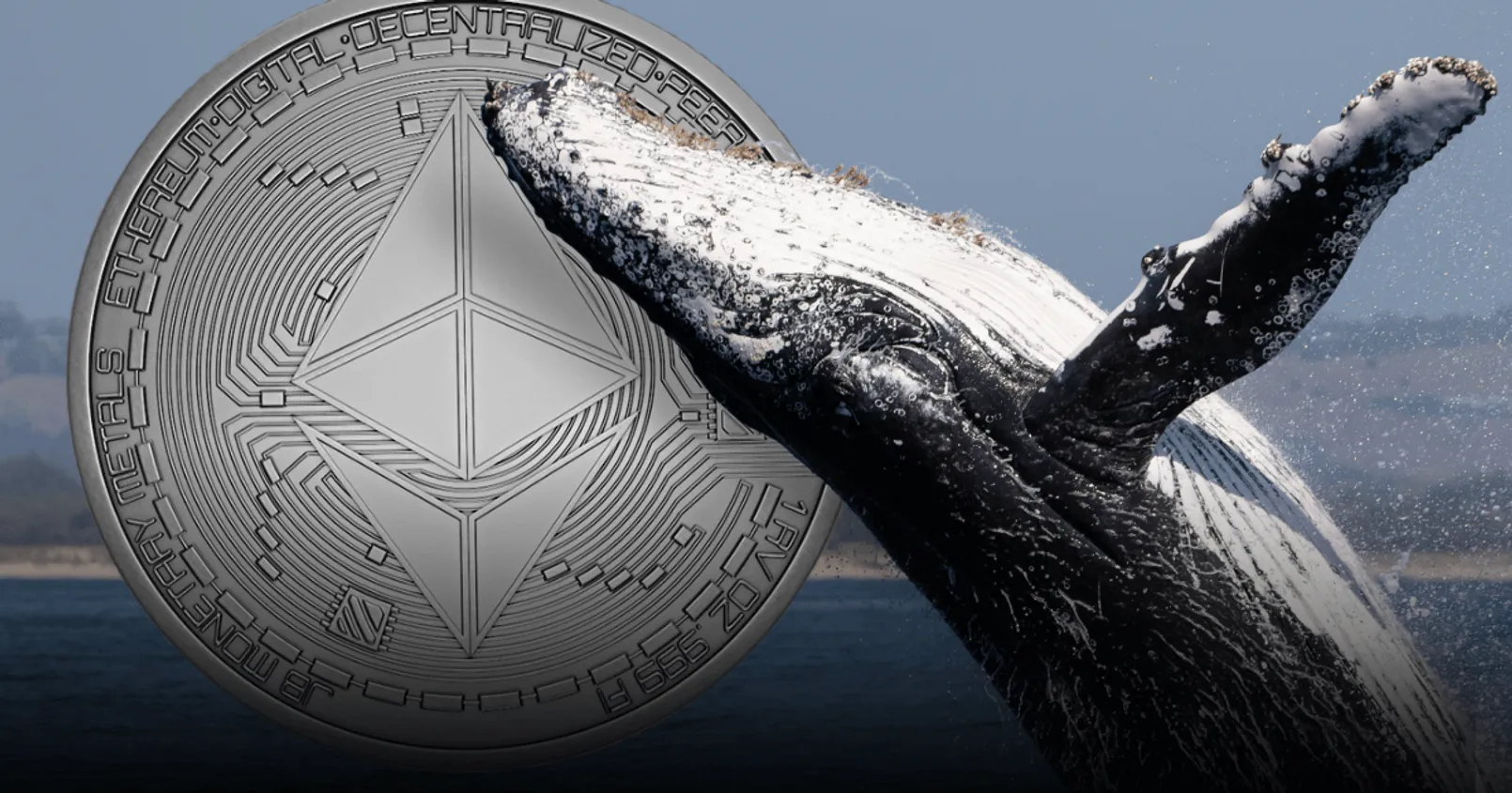 พบ 'วาฬ' จำนวนมาก เริ่มเข้าซื้อ Ethereum รวมกันไปแล้วกว่า 1 พันล้านดอลล์