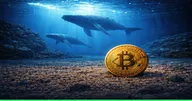 วาฬสะสม Bitcoin กว่า 61,000 BTC ใน 1 เดือน ท่ามกลางความไม่แน่นอนระดับโลก