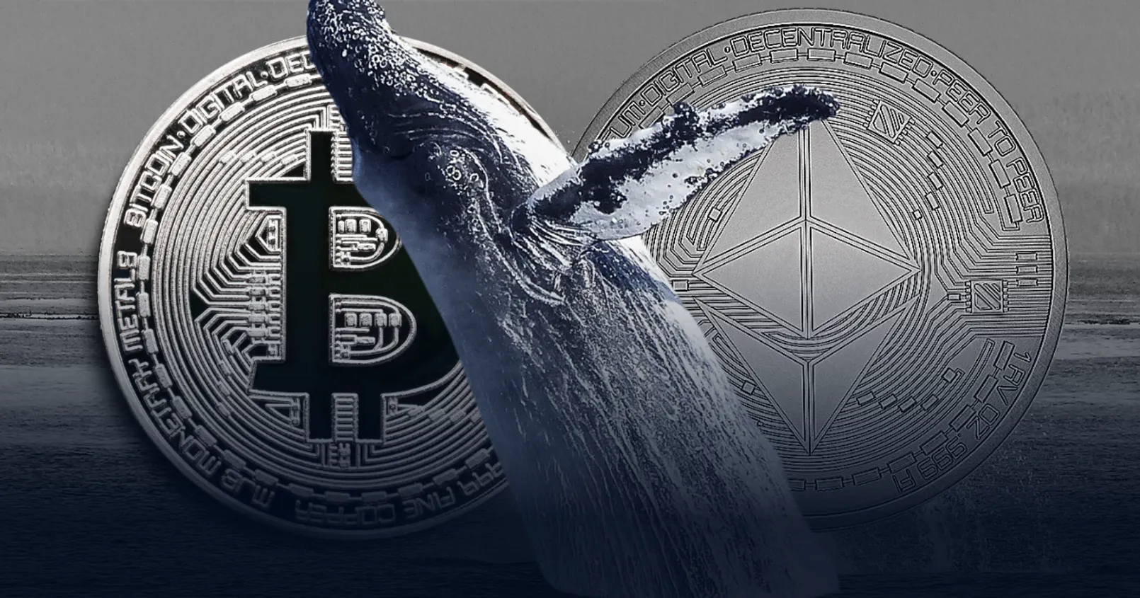 Whale Alert พบวาฬ Bitcoin และ Ethereum จำนวนมากเริ่มมีการเคลื่อนไหวมากขึ้น
