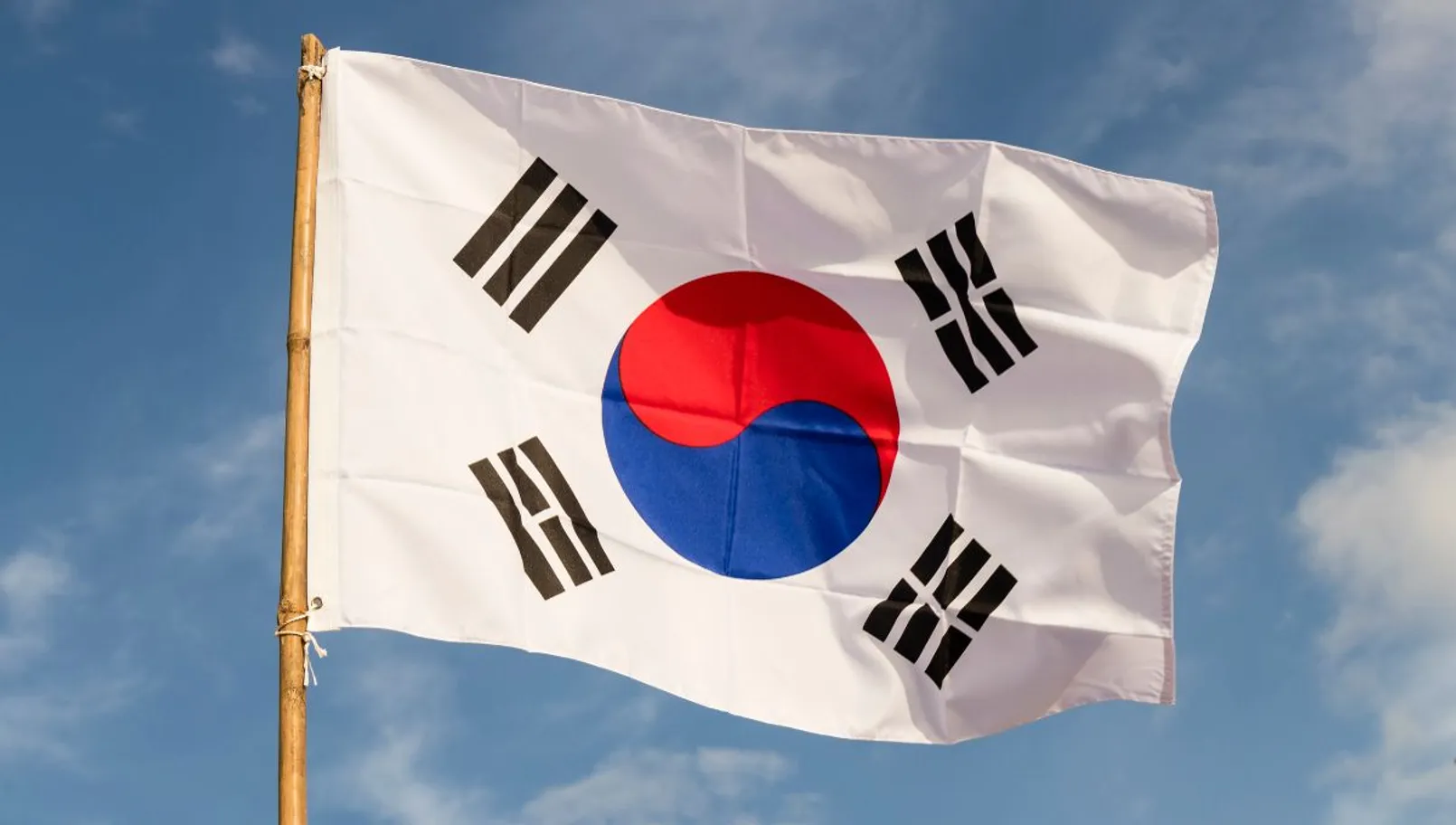 Flag South Korea.jpg