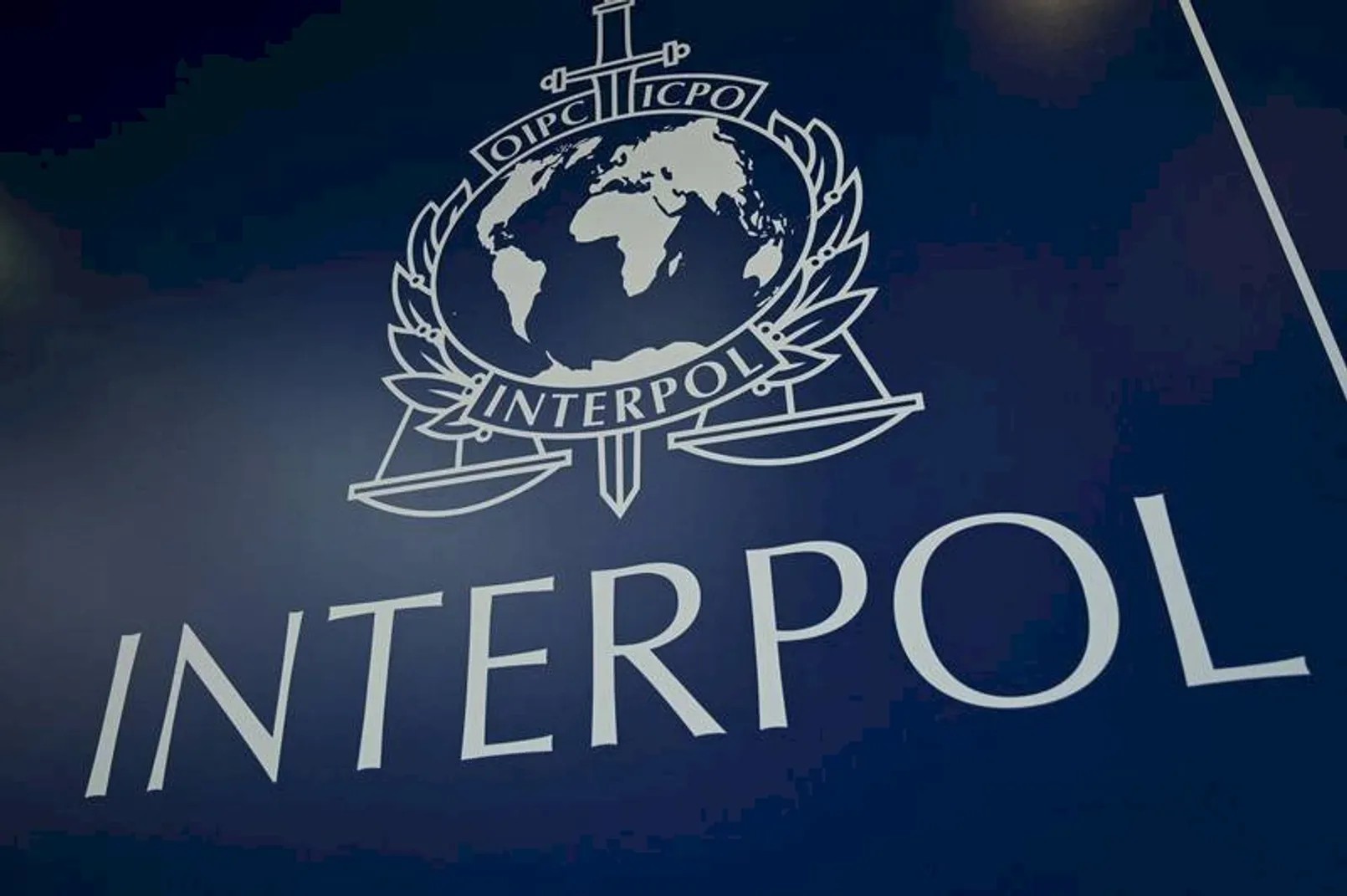 interpol metaverse