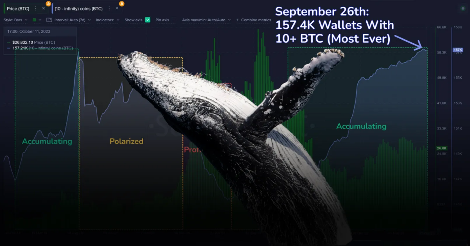 Santiment รายงานพบจำนวน 'วาฬ Bitcoin' เพิ่มสูงขึ้นเป็น 'ประวัติการณ์'