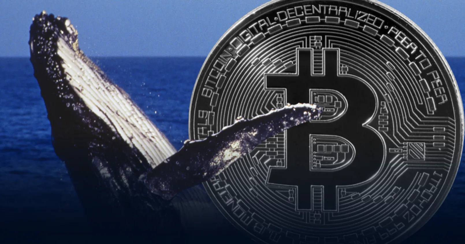 พบวาฬ Bitcoin โยกย้ายเหรียญจำนวนมากไปยังที่อยู่ใหม่ รวมมูลค่ากว่า 450 ล้านดอลลาร์