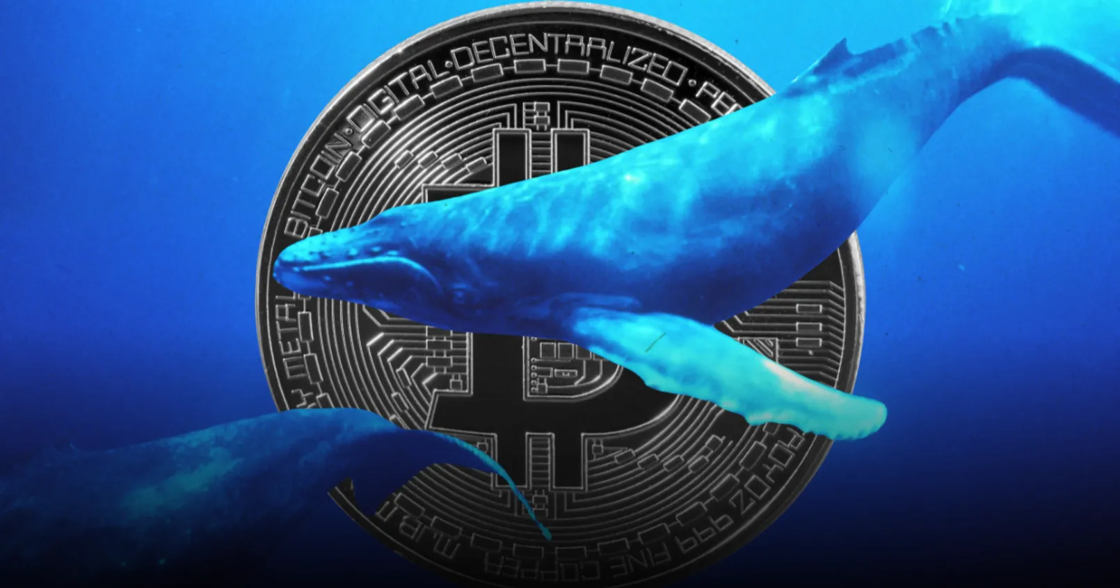  วาฬหน้าใหม่ ครอบครอง Bitcoin รวมกันไปแล้วถึง 1.8 ล้าน BTC