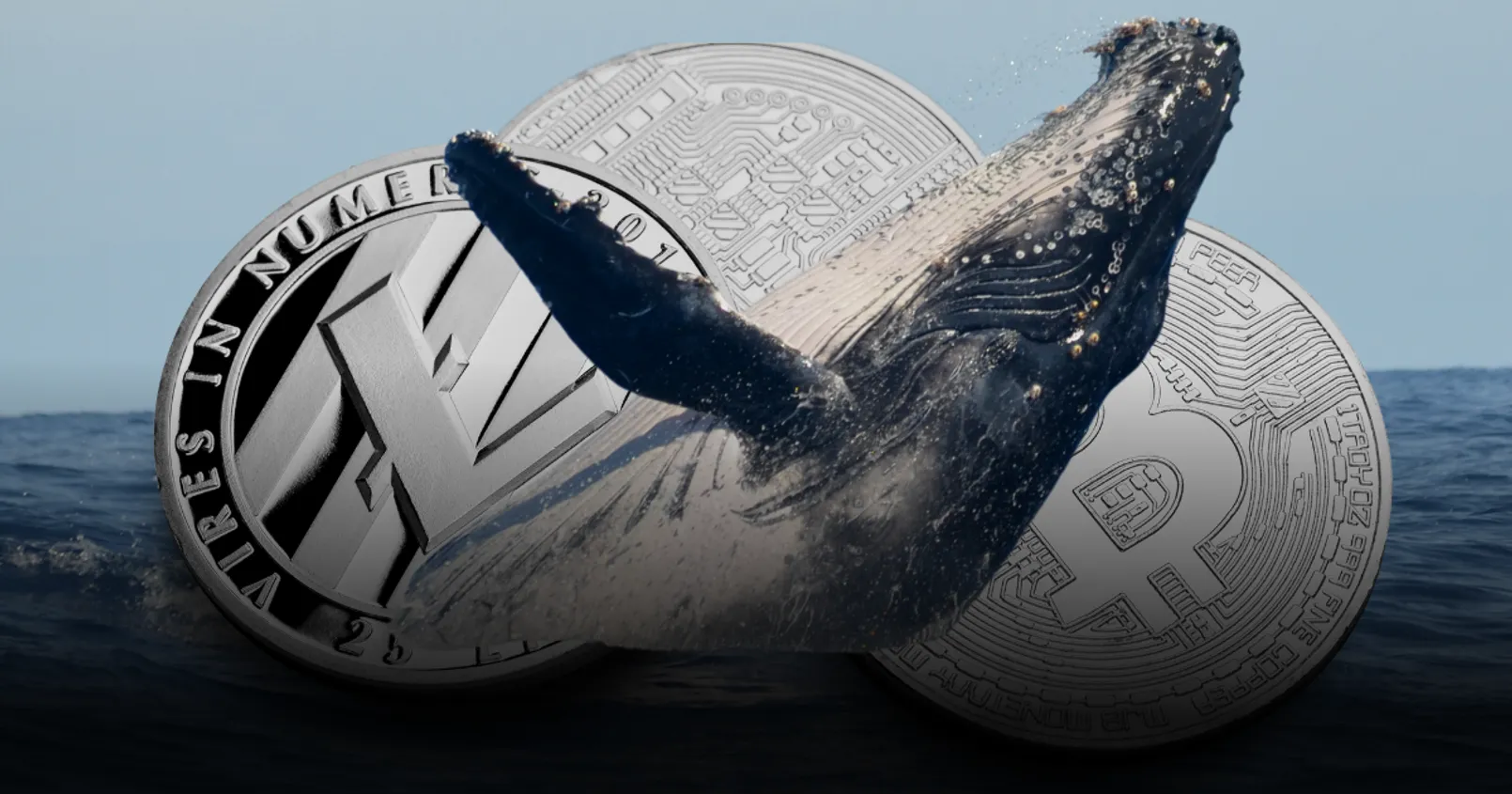 Lookonchain รายงานพบการเคลื่อนไหวของ ‘วาฬ’ ที่เกิดขึ้นกับ 3 เหรียญดังในตลาด