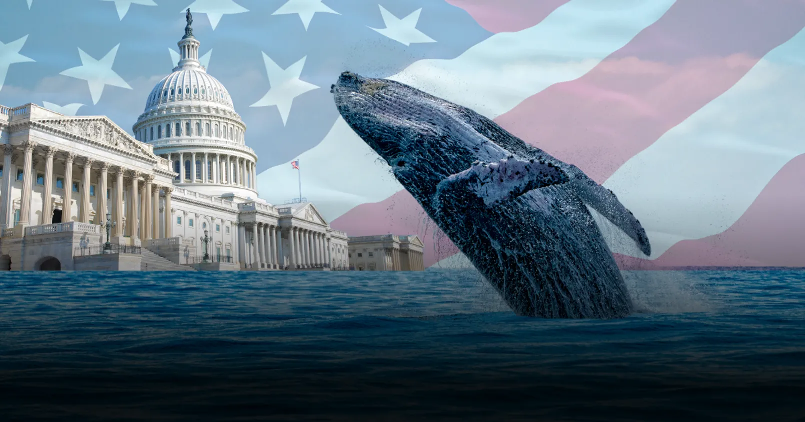ข้อมูล On-Chain เผยว่า 'รัฐบาลสหรัฐ' เป็นวาฬ Bitcoin ที่ใหญ่ที่สุดในโลก